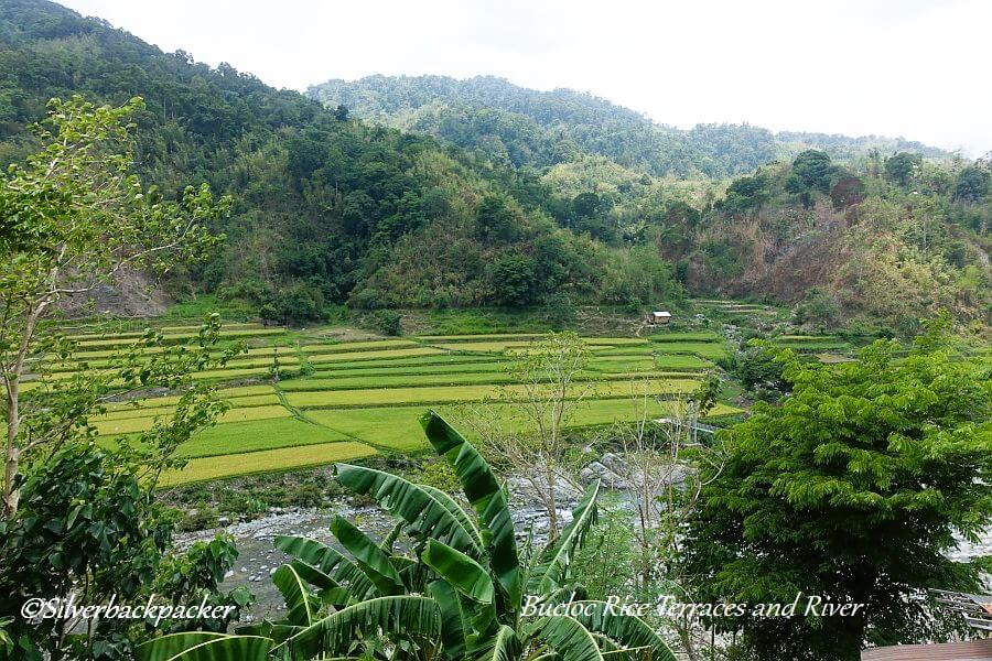 Bucloc Rice Terraces
