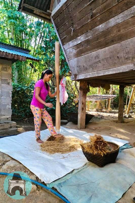 pounding rice by the house